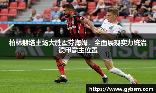 yy体育