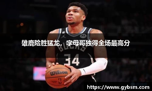 雄鹿险胜猛龙，字母哥独得全场最高分