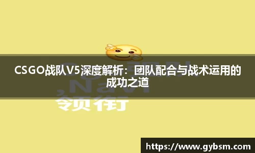 CSGO战队V5深度解析：团队配合与战术运用的成功之道