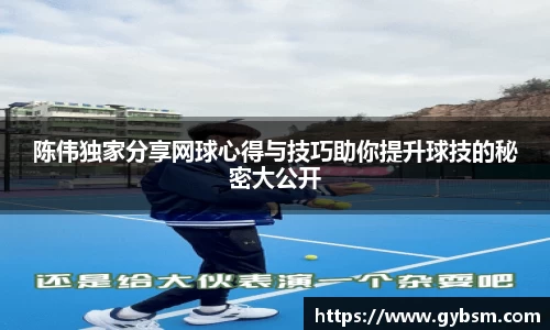 陈伟独家分享网球心得与技巧助你提升球技的秘密大公开