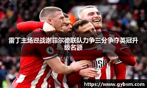 雷丁主场迎战谢菲尔德联队力争三分争夺英冠升级名额