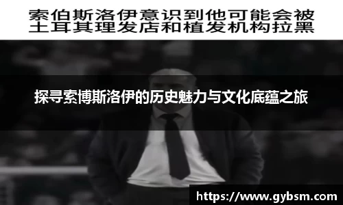 探寻索博斯洛伊的历史魅力与文化底蕴之旅